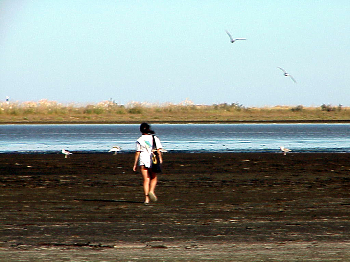 2004-08 Céline Camargue 019.JPG